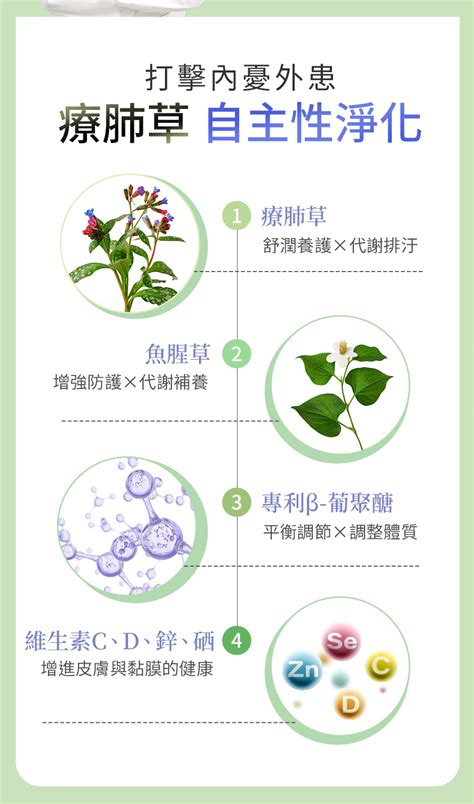 療肺草禁忌|【療肺草禁忌】療肺草全方位指南：認識療效、禁忌與健康益處